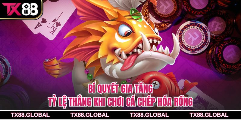 Bí quyết gia tăng tỷ lệ thắng khi chơi cá chép hóa rồng