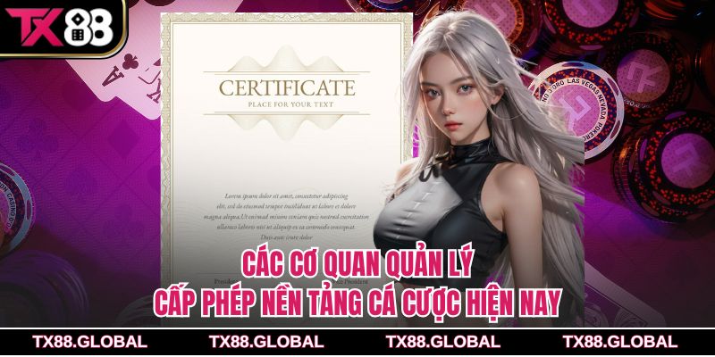 Các cơ quan quản lý cấp phép nền tảng cá cược hiện nay