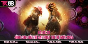Đá Gà 3D – Đỉnh Cao Giải Trí Sát Phạt Thế Hệ Mới 2026
