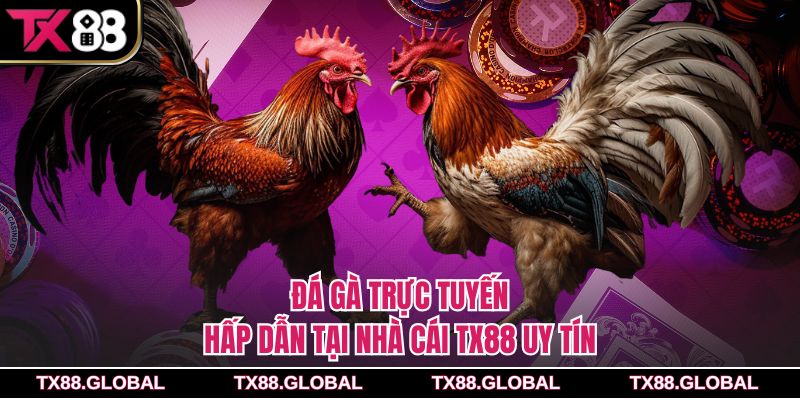 Đá gà trực tuyến hấp dẫn tại nhà cái Tx88 uy tín