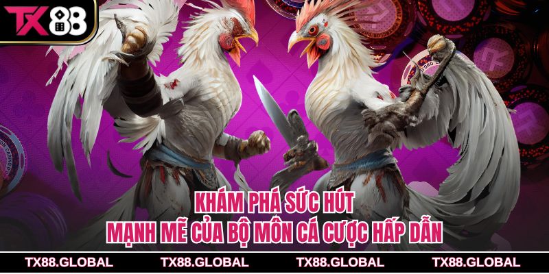 Khám phá sức hút mạnh mẽ của bộ môn cá cược hấp dẫn
