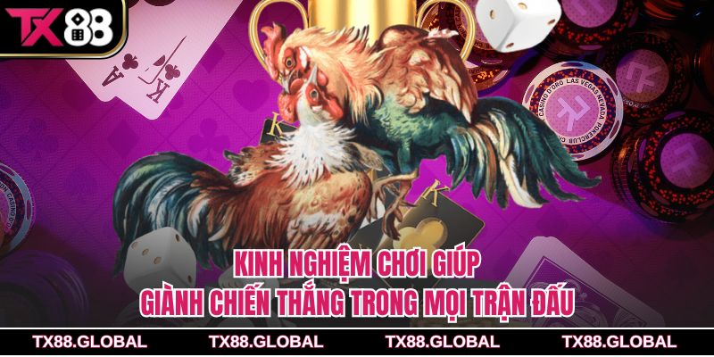 Kinh nghiệm chơi giúp giành chiến thắng trong mọi trận đấu