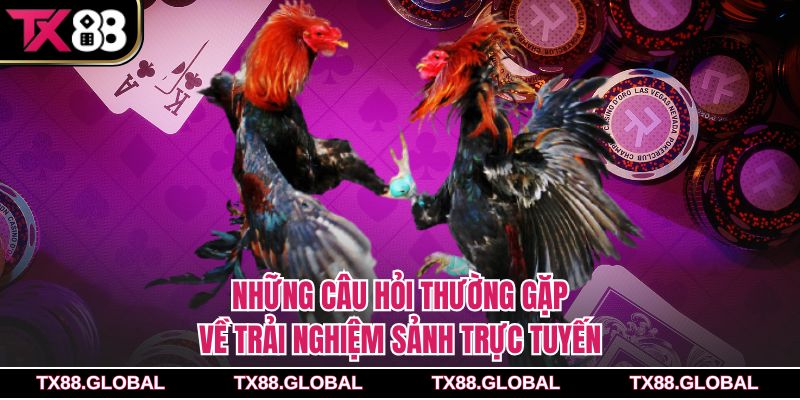 Những câu hỏi thường gặp về trải nghiệm sảnh trực tuyến