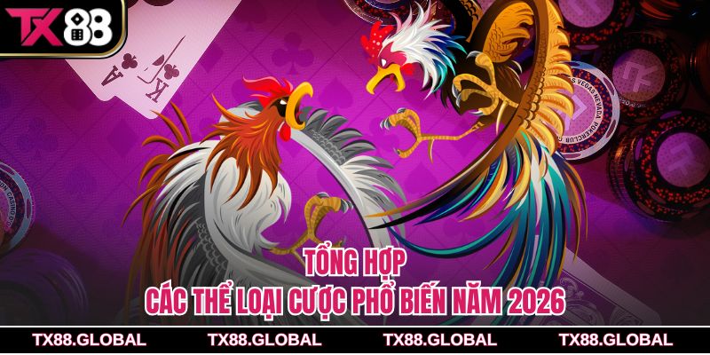 Tổng hợp các thể loại cược phổ biến năm 2026