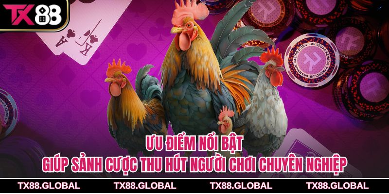 Ưu điểm nổi bật giúp sảnh cược thu hút người chơi chuyên nghiệp
